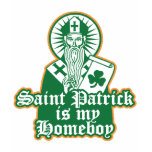 Saint Patrick is my Homeboy t-shirts