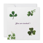 SAINT PATRICK'S DAY PARTY shamrock white green invitations