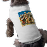 Saint Paul on the Road to Damascus pet clothing