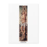 Saint Sebastian., By Carlo Crivelli Postcards
