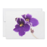 Saintpaulia card invite