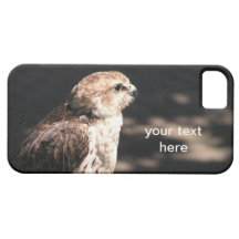 Saker Falcon I iPhone 5 Case
