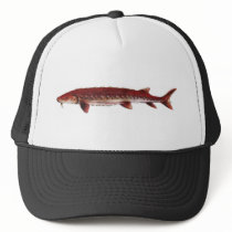 Sakhalin Sturgeon Hat