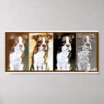 saki posters