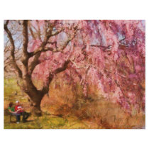 Sakura - A Beautiful Spring day