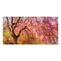 Sakura - A Beautiful Spring day