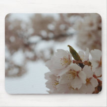 Sakura Beautiful Japanese Cherry Blossom Mousepad