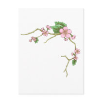 Sakura Blossoms Post Card