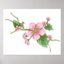 Sakura Blossoms Posters