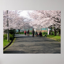 Sakura in the Sky Print