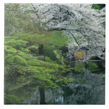 Sakura, Koishikawa Koraku-en Garden, Tokyo, Ceramic Tile