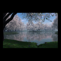 Sakura posters