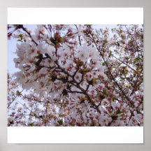 Sakura Print