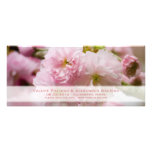 Sakura • Save the Date Announcement