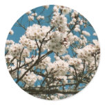 sakura stickers