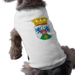 Salamanca , Chile pet clothing