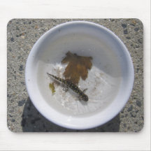 Salamander Mouse Mats