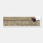 Salem mass bumper sticker