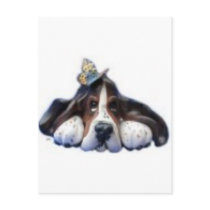 sally butterfly postcards