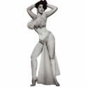 Sally the Shape Photo Doll Burlesque Stripper photo sculptures