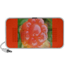 salmom berry PC speakers