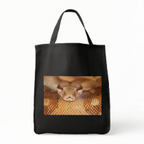 Salmon Boa Bag