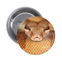 Salmon Boa Button