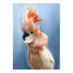 Salmon Crested Cockatoo ACEO Art Trading Cards business cards