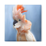 Salmon Crested Cockatoo Magnets