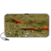 Salmon Doodle Speakers