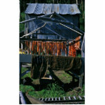 Salmon Drying on Racks at Kaltag photo sculptures