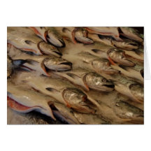 salmon heads cards