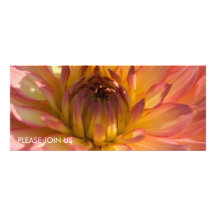 Salmon Pink & Yellow Dahlia Personalized Announcement