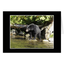 "Salmon Spotting" Black Bear Gifts