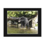 "Salmon Spotting" Black Bear Gifts