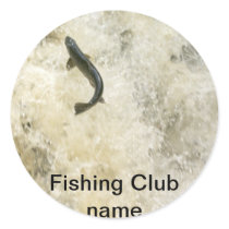 Salmon Stickers