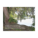 Salmos 1:1-3 con Rio y Arbol Horizontal postcards
