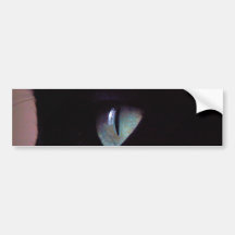 Salsa Super Zen Bumper Sticker