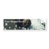 Salt And Pepper Bumper Sticker