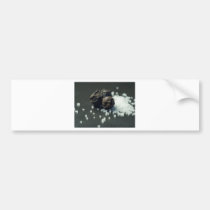 Salt And Pepper bumper stickers