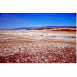 Salt Flats photo sculptures