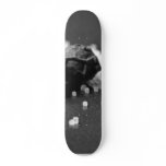 Salt Pepper Macro Image In Studio skateboards