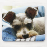 Salt & Pepper Mini Schnauzer mousepads