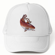 Saltwater Collection of Fish