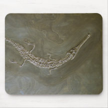 Saltwater crocodile Fossil Steneosaurus bollensis Mouse Pads