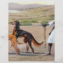 saluki custom flyer
