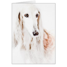 Saluki dog cards