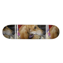 Saluki Dog Skateboard