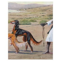 saluki custom flyer