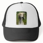 Saluki hats